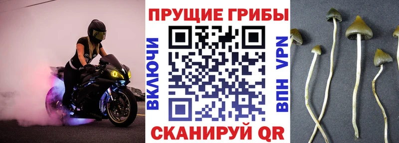 Псилоцибиновые грибы ЛСД Старая Русса