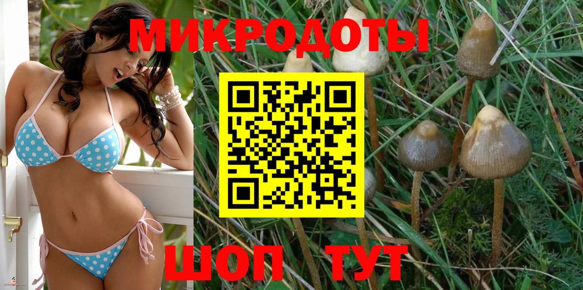 Галлюциногенные грибы Magic Shrooms  Вход с VPN  Старая Русса 